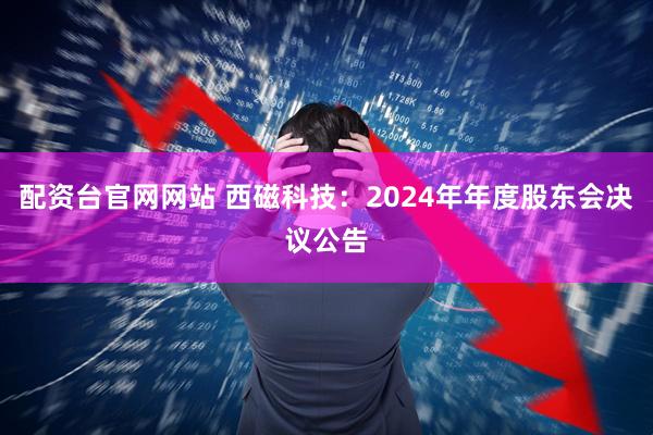 配资台官网网站 西磁科技：2024年年度股东会决议公告