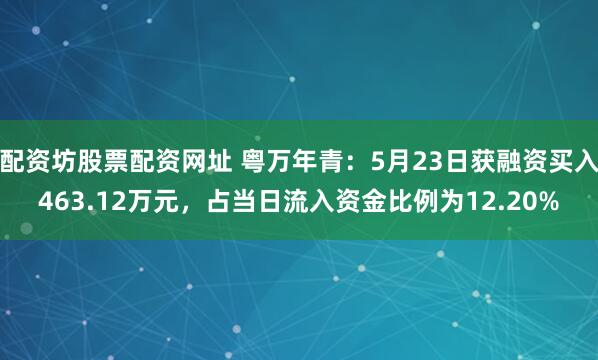 配资坊股票配资网址 粤万年青：5月23日获融资买入463.12万元，占当日流入资金比例为12.20%